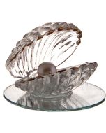 Coquille en verre sur miroir