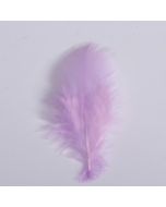 Plumes x 20 - lilas