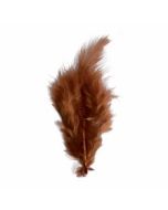 Plumes x 20 - marron