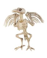 Corbeau squelette