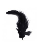 plumes noirs