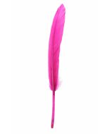 6 Plumes droites - fuchsia