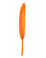 6 Plumes droites - orange