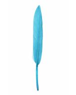 6 Plumes droites - turquoise