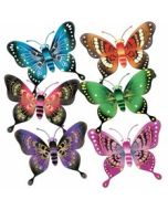 Papillon royal  – 25 cm