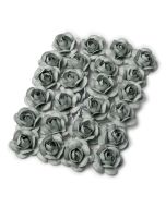 24 roses grises
