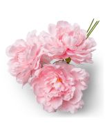 bouquet fleurs pivoines roses 