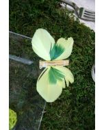 4 Papillons sur pince Jaune Vert 11cm