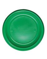 25 assiettes plastiques vertes rondes - 17 cm