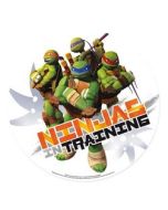 Disque à gateau - Tortues Ninja