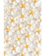 confettis fleurs blanc