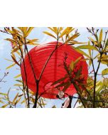 Lampion ovale rouge