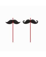 6 pailles moustache