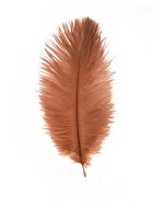 plumes autruche rouge