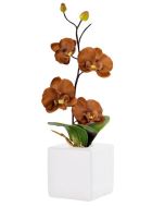 pot orchidée chocolat