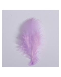 Plumes x 20 - lilas