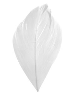 Sachet 100 plumes blanches
