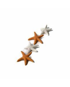 6 étoiles de mer sable irisées adhésives