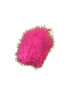 Plumes - fuchsia x20