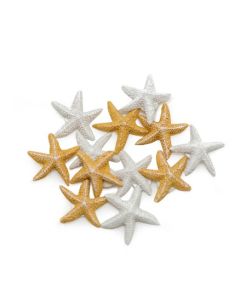 12 étoiles de mer adhésives blanches et ivoires