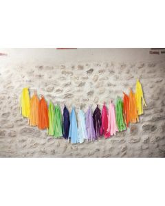 Guirlande tassel multicolore